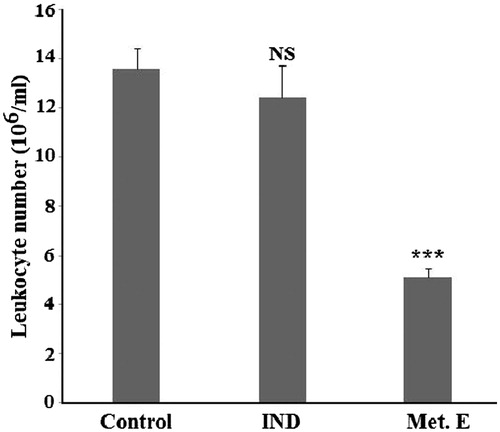 Figure 4. Effect of H. cheirifolia methanol extract on leukocytes infiltrated into air pouch exudate. The pouch inflammation was induced by 0.1 mL of carrageenan (1%). One hour after the induction of inflammation, mice were treated by 1 mg/pouch of the extract or 0.15 mg/pouch of indomethacin. The comparison was made with respect to the control group (without treatment). Values are means ± SEM (n = 6). ***p <0.001; NS: not significant versus control.