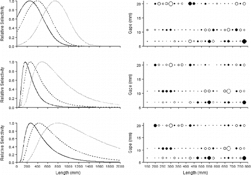 FIGURE 6. Selection curves (left panels) and deviance residual plots (right panels) for Red Snapper caught on circle hooks of three sizes (8/0 = solid curve; 11/0 = dashed curve; 15/0 = dotted curve) for the normal fixed-spread model with equal fishing power (top panels), the inverse Gaussian model with equal fishing power (middle panels), and the inverse Gaussian model with proportional fishing power (bottom panels). Solid circles represent positive residuals, and open circles represent negative residuals; the area of the circle is proportional to the square of the residual. Hook sizes are plotted based on the hook gape measurement (8/0: 6.75-mm gape; 11/0: 10.7-mm gape; 15/0: 20-mm gape).