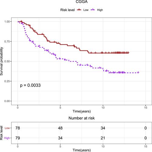 Figure 5 Kaplan–Meier curves of the five-gene signature for high- (n = 136) and low-risk (n = 136) patients with lower-grade gliomas stratified by age, gender, tumor grade, and seizures status in CGGA database.