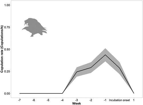 Figure 1. Mean rate of copulations per week relative to the onset of incubation (week 0). The shaded area represents ± se.