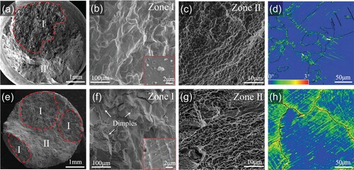 Figure 4. Comparison of the M2 and M2-BP2 samples after creep, (a–d) M2, (e–h) M2-BP2, (b,f) zone I, (c,g)zone II, (d,h) KAM maps of longitudinal cross-section beneath creep fracture.