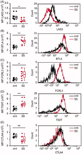 Figure 1. Divergent level of LAG-3 versus BTLA, TIGIT, and FCRL3 expression on total CD4+ blood T-cells from patients with Sézary syndrome. LAG-3, BTLA, FCRL3, TIGIT, and CTLA-4 expression in blood CD4+ T-cells from patients with Sèzary syndrome (SS) and healthy individuals (nml) was analyzed by flow cytometry. Left panels show significantly decreased mean fluorescence intensity (MFI) of LAG-3 (A) and increased MFI of BTLA (B), FCLR3(C) and TIGIT (D) on CD4+ T-cells from SS patients (in red) compared to CD4+ T-cells from healthy donors (in black). Each dot represents data obtained from one individual. Right panels show representative histograms of mean fluorescent intensities of LAG-3 (A), BTLA (B), FCLR3(C), TIGIT (D) and CTLA-4 (E) in CD4+ blood T-cells from SS patients (in red) and healthy individuals (in black).