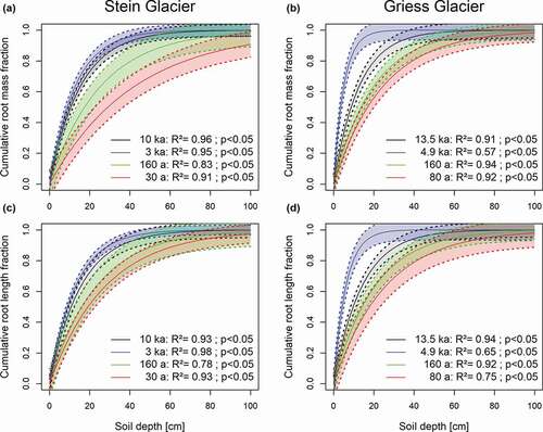 Figure 4. Vertical distribution of (a), (b) root mass and (c), (d) root length across the moraines (see Table 1) of the (a), (c) Stein Glacier and (b), (d) Griess Glacier forelands. The vertical root distribution was fitted using the model proposed by Gale and Grigal (Citation1987). The resulting β coefficients are shown in Table 4. The cumulative root fraction represents the percentage of roots from the soil surface to the depth considered relative to the total roots of the soil profile. Models are plotted showing the 95 percent confidence intervals.