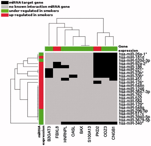 Figure 5. Unsupervised hierarchical clustering of the differentially represented miRNAs (Y axis) and mRNAs (X axis) during spermatogenesis of studied patients, according to the smoking status. Only the miRNAs having target gene, in the TargetScan database v 6.2, corresponding to our 15 differentially represented mRNAs are represented. Black boxes correspond to miRNA target genes; red boxes: gene/miRNA over represented in Smokers; green boxes: gene/miRNA under represented in Smokers.