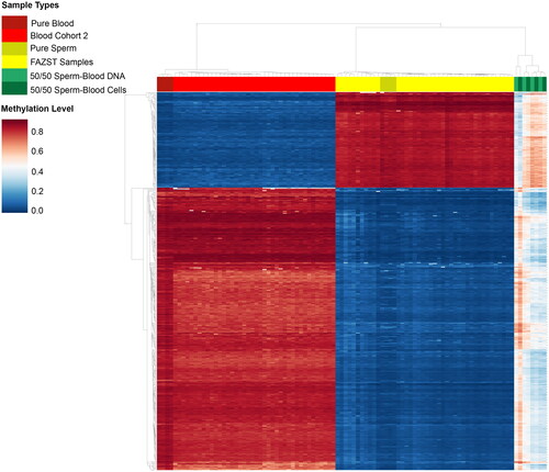 Figure 4. Unsupervised clustering of sperm, blood, and contaminated samples. Heat map showing unsupervised clustering of sperm, blood, and contaminated samples at generated DMRs. For easier comparison, a limited number of samples from the blood (n = 50) and FAZST (n = 50) are shown alongside the testing set (n = 4, n = 4, n = 4, n = 4).