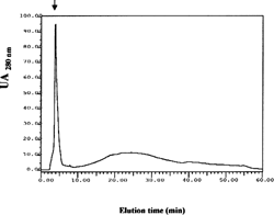 Figure 2. Reverse-phase HPLC elution profile. The C18 column was loaded with the fraction eluted from affinity chromatography using GalNAc-Sepharose. The arrow indicates elution time of the component with Tn-binding activity (5% solvent B). UA 280 nm: Units Absorbance at 280 nm.
