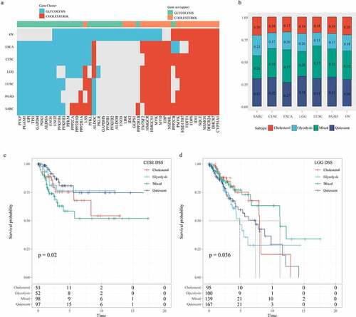 Figure 9. Correlation analysis of glycolysis and cholesterol gene clusters with pan-cancer types. A: Clusters of co-expression pathway-specific genes in seven cancer types (OV, ESCA, CESE, LGG, LUSC, PAAD, SARC). B: The seven cancer types are also classified into four metabolic subtypes according to the clustering glycolysis and cholesterol gene expression levels. C: Disease-specific survival time prognostic survival curves of the four molecular subtypes in CESE. D: Disease-specific survival time prognostic survival curves of the four molecular subtypes in LGG