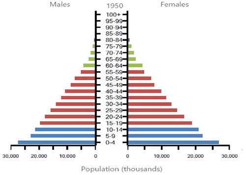 Figure 2. Population distribution by sex and age group in India in 1950 (in thousands). Source: UNCitation12.