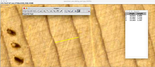 Figure 2. A screen capture showing how student measure annual ring width from a high-resolution scan using ImageJ software. The yellow line shows the measurement of one annual ring, in this case the year 2002. The results tab shows measurements from three rings, starting with the ring with three dots on it, an indicator of a century ring, in this case the year 2000.