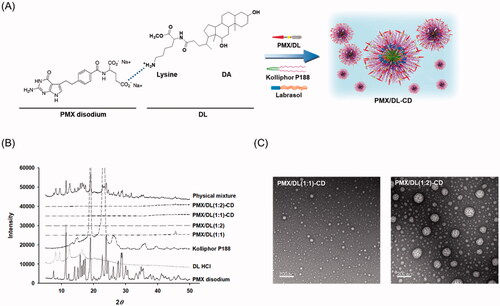 Figure 1. (A) Ion-pairing complex of PMX with DL and formation of the self-assembled nano-sized micellar structure of PMX/DL with Kolliphor P188 and Labrasol. (B) Powder X-ray diffraction (PXRD) of PMX disodium, DL·HCl, Kolliphor P188, PMX/DL(1:1), PMX/DL(1:2), PMX/DL(1:1)-CD, PMX/DL(1:2)-CD, and a physical mixture of PMX disodium, DL·HCl, and Kolliphor P188. (C) Transmission electron micrographs of PMX/DL-CD micelles. Scale bar: 200 nm.
