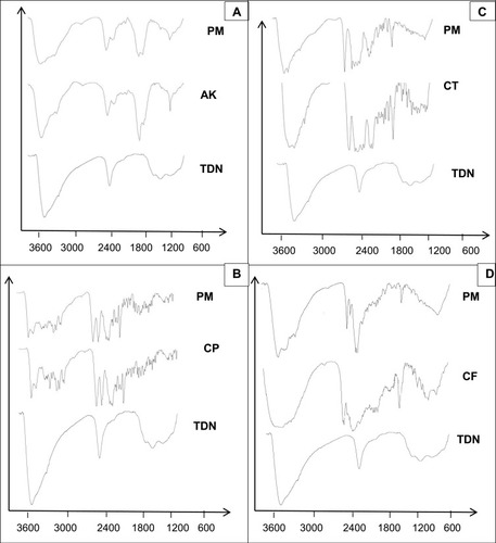 Figure 4 Fourier transform infrared spectra of (A) TDN, amikacin and its physical mixture; (B) TDN, ciprofloxacin and its physical mixture; (C) TDN, ceftriaxone and its physical mixture; (D) TDN, cefpime and its physical mixture.Abbreviations: TDN, titanium dioxide nanoparticles; AK, amikacin; CP, ciprofloxacin; CT, ceftriaxone; CF, cefpime; PM, physical mixture.