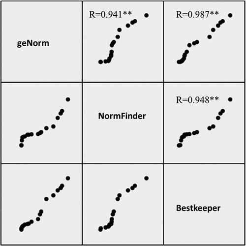 Figure 2. Comparison of the ranking results from BestKeeper, NormFinder and GeNorm. The correlation was evaluated for the ranking results of 18 candidate reference genes in all samples, by Bestkeeper, NormFinder and GeNorm. Correlation coefficient (r) values are shown (*p ＜ 0.05, **p ＜ 0.01).