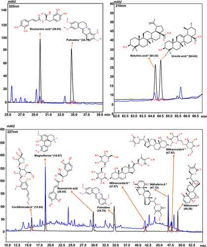 Figure 1 Chemical composition of Coronil. Overlap HPLC chromatogram of standard mix (black line) and Coronil (blue line). Cordifolioside A, Magnoflorine, Withanoside IV, Withaferin A, Withanoside V and Withanone were quantified at 227 nm, Rosmarinic acid and Palmatine at 325 nm, and Betulinic and Ursolic acids at 210 nm wavelength.