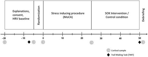 Figure 1. Timeline for the experimental procedure.