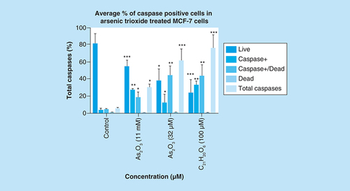 Figure 7. Graphical analysis of arsenic trioxide induced caspase dependent apoptosis in MCF-7 cells.Treatment with arsenic trioxide (11 and 32 μM) and curcumin (100 μM) for 24 h induced caspase-dependent mode of death in MCF-7 cells relative to the untreated control. Results were obtained from three independent experiments and were presented as ± standard error of the mean and the differences were considered significant when *p was ≤ 0.05, **p ≤ 0.01 and ***p ≤ 0.0001.