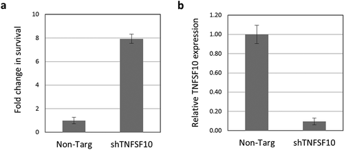 Figure 4. Depletion of TRAIL (TNFSF10) mRNA protects kidney epithelial cells in ischemia-like conditions. (a) HKC-8 cells expressing shRNA targeting TNFSF10 were subjected to glucose and oxygen deprivation for 48 hours. Following treatment, cell numbers for each culture were assessed relative to respective normoxic controls and values are presented relative to those from control cells expressing non-targeting shRNA. The means and standard deviations of three independent experiments are shown. (b) TNFSF10 mRNA levels in HKC-8 cells transduced with TNFSF10-specific shRNA were measured by qRT-PCR, normalized to mean GAPDH transcript levels, and reported relative to that in cells transduced with non-targeting shRNA. The means and standard deviations of three independent experiments are shown.