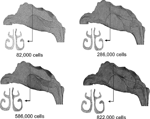 FIG. 1 Nasal cavity models of different mesh resolutions, 82,000, 286,000, 586,000 and 822,000 cells.