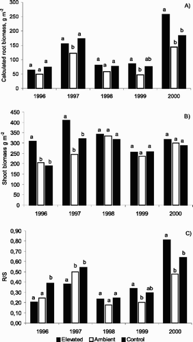 Fig. 2 A) Root biomass in g m−2 to 15 cm depth calculated according to R bio =c b ·N r , where c b is the regression coefficient and N r is the net change in root numbers (see Results). B) Shoot biomass in g m−2 sampled in early August each year indicated, years 1996 to 1998 reprinted with permission from Sindhøj et al. (Citation2000). C) Root to shoot biomass ratio for each year indicated. Different letters indicate statistical differences of P<0.05 between treatments for that year.