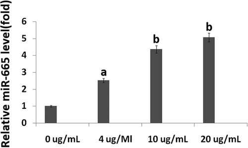 Figure 2. The effects of propofol on miR-665 expression in hESC-derived neurons. The qRT-PCR assay revealed the miR-665 expression levels in the hESC-derived neurons treated with 4, 10 and 20 μg/mL propofol for 6 h. Statistically significant differences (ap < 0.05, bp < 0.01).