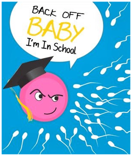 Figure 12. Birth control poster campaign designed by The National Campaign to Prevent Teen and Unplanned Pregnancy with comical diagrams and slogans.
