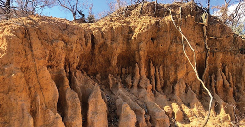 Figure 5. Soil erosion in central parts of Marakele National Park.