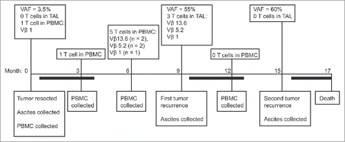 Figure 6. Summary of sample collection, genomic data, and immunological findings for Patient 3. The timeline indicates the order of events from the time of primary surgery (Month 0) through to death (Month 17). Dark bars indicate chemotherapy treatments. HSDL1L25V VAF = Variant Allele Frequency from whole exome sequencing data Citation15,30, which is a measure of mutation abundance; TAL = Tumor Associated Lymphocytes (derived from ascites samples); PBMC = Peripheral Blood Mononuclear Cells; and T cells = HSDL1L25V-reactive T cell lines. The HSDL1 response at 3 months time point was not assessed for Vβ usage due to an insufficent number of cells for analysis.