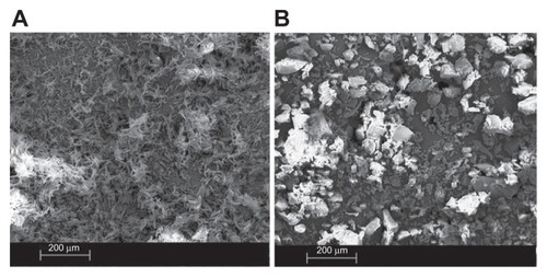 Figure 6 SEM images of crystalline ABT-102 (A) and the freeze dried precipitate (B).