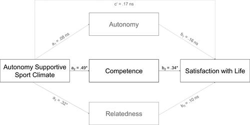 Figure 1. Mediation model. Black paths indicate complete mediation. *indicates significance levels of p <.05.
