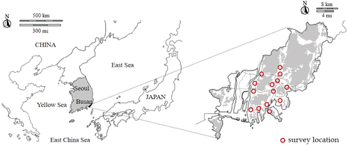 Figure 3. The specific survey locations.