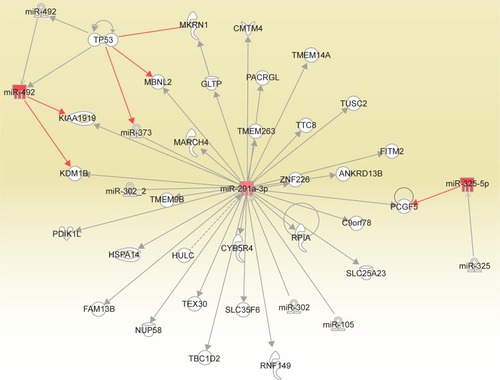 Figure 2 Network generated for the altered miRNAs in the analysis of endometriosis versus normal tissue. The upregulated miRNAs are displayed in red.