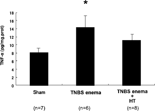 Figure 5. Effect of hyperthermia on colonic expression of tumor necrosis factor-α. Values are the means ±SEM of 6–8 mice. *p < 0.05 vs. sham.