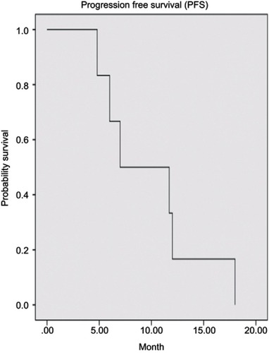 Figure 4 Progression-free survival (PFS) curve.