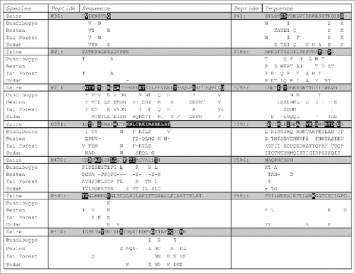 Figure 7. Summary of the multiple sequence alignment analysis of the Ebolavirus genus. Sequences of the 13 epitopes identified in the CLIPS study are listed using a single-letter residue code. Letters inside the black boxes indicate the non-conserved residues in Zaire ebolavirus. Below the sequence of each fragment, we indicate the observed residue substitutions in the Bundibugyo, Tai Forest, Reston, and Sudan species. Dashes indicate positions with residue variability in species other than Zaire ebolavirus.