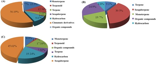 Figure 2. Chemical composition of essential oils collected from rhizomes of (A) C. longa; (B) K. galanga and (C) Z. officinale.