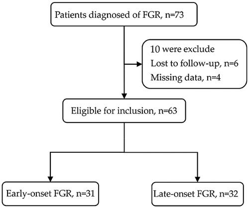 Figure 2. Process of pregnant patient inclusion. A total of 10 participants were excluded from the analyses because they were subsequently lost to follow-up, missing data. There were 63 eligible women enrolled. 31 pregnant women with early-onset FGR; the remaining 32 pregnant women with late-onset FGR.