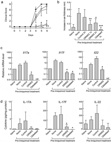 Figure 7. DRM02 ameliorates imiquimod-induced inflammation.