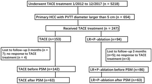 Figure 1. Flowchart of the patients selection. TACE: transarterial chemoembolization; P-ablation: palliative ablation; PSM: propensity score matching.