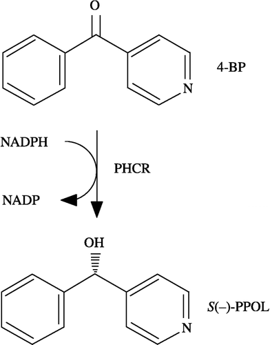 Figure 1 Reduction of 4-BP to S( − )-PPOL catalyzed by PHCR.