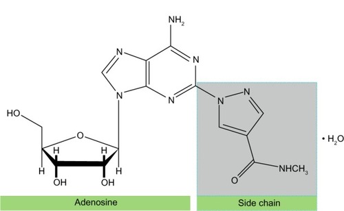 Figure 2 Regadenoson molecule.