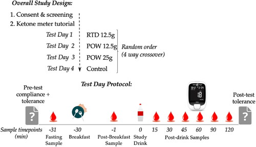 Figure 2. Schematic showing overall study design and test day design.