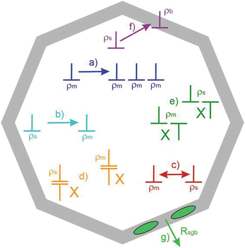 Figure 1. Microstructural interactions within a subgrain [Citation10].