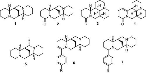 Figure 1. Lupin alkaloids and derivatives investigated as inotropic agents.