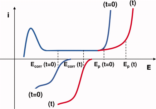 Figure 7. Hypothetical polarization curves of the cathodic and anodic processes on SS under MIC conditions: before (t = 0) and after (t) the formation of H2O2, causing a cathodic and an anodic response. These mechanisms result in the shift of both the corrosion potential (Ecorr) and the pitting potential (Ep) towards anodic values.