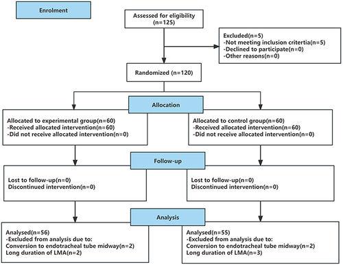 Figure 1 A flowchart that outlines patient selection, randomization, and analysis.