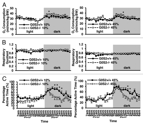 Figure 5. O2 consumption, respiratory quotient and percentage active time of G0S2−/− mice vs. G0S2+/+ mice. (A–C) Time course of (A) O2 consumption, (B) respiratory quotient, and (C) percentage active time of G0S2+/+ vs. G0S2−/− male mice fed a 10% fat diet (left panel) or a 45% fat diet (right panel) during 24 h with access to food and water ad libitum (n = 12). Data are presented as mean ± SE. The symbol * depicts statistical significance as P < 0.05.