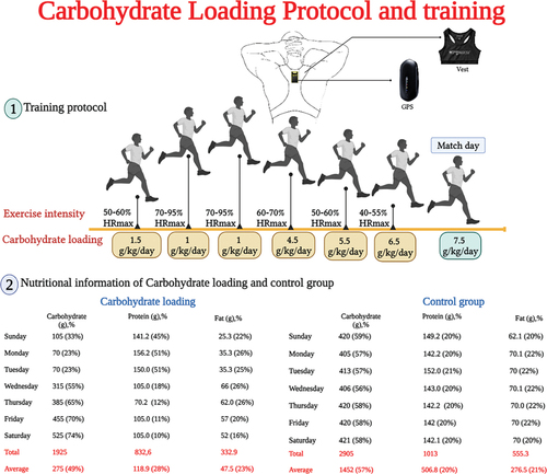Figure 1. An overview of the training program and carbohydrate loading protocol.