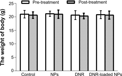 Figure 6 The body weight of mice pre- and post-treatment for various times.Abbreviations: DNR, daunorubicin; NPs, nanoparticles.