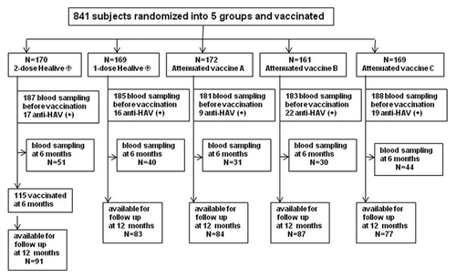 Figure 1. Assembly chart for the follow-up of subjects in 5 HAV vaccination groups.