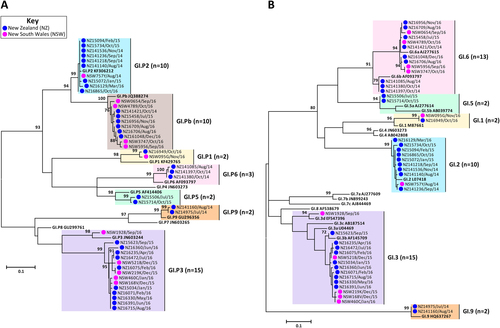 Fig. 2 Phylogenetic analysis of ORF1/ORF2 overlap region of GI norovirus.Representative norovirus GI strains isolated in clinical samples (n = 52/83) are shown in this phylogenetic analysis. Strains analysed in this study are denoted with a bullet (•) and colour-coded to show sample origin (pink = NSW and blue = NZ). All sample names contain the geographical location and time of collection. Reference strains were downloaded from GenBank and labelled with their genotype and accession number. a Phylogenetic analysis of 172 bp of the 3′-end of the polymerase gene of norovirus GI viruses. b Phylogenetic analysis of 223 bp of the 5′-end of the capsid gene of norovirus GI viruses. The scale bar indicates the number of nucleotide substitutions per site. Sequence alignments were performed using the MUSCLE algorithm. Maximum likelihood phylogenetic trees were produced with MEGA 7 softwareCitation59 and bootstrap tests (1000 replicates) based on the Kimura two-parameter modelCitation60. The bootstrap percentage values are shown at each branch point for values ≥ 70%