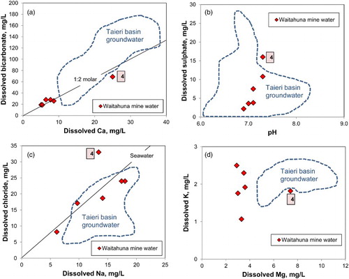 Figure 11. Geochemical plots of water analyses from the Waitahuna Gully mine area (Table 2), with the analysis having the highest dissolved load (4) highlighted. Data are compared to a field of 50 schist-hosted groundwaters from the Taieri basin (Figure 1A; Litchfield et al. Citation2002). A, Ca2+ vs . B, Water pH vs . C, Na+ vs Cl−. D, Mg2+ vs K+.